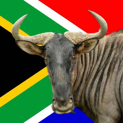 The Wildebeest - all about South Africa - towns, places of interest, animals and plants