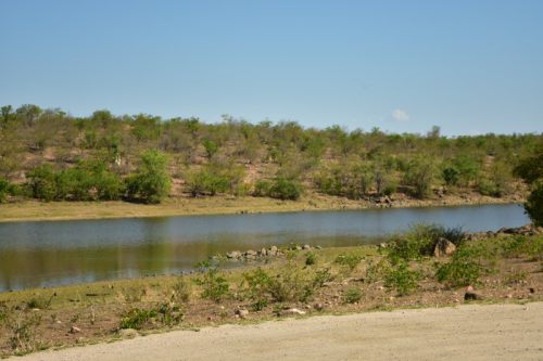 Bushveld surrounds the dam