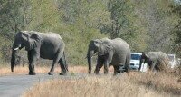 Visit Mpumalanga