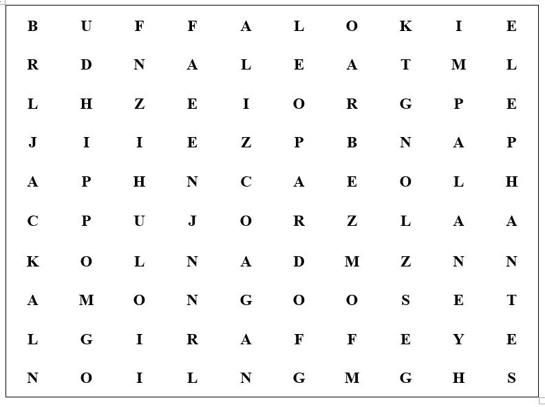 Animal word search